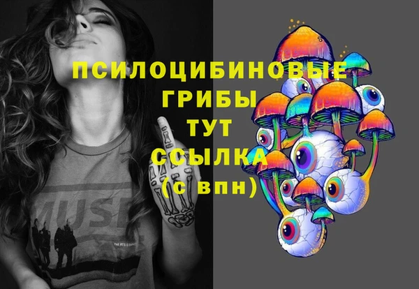 сатива Горняк