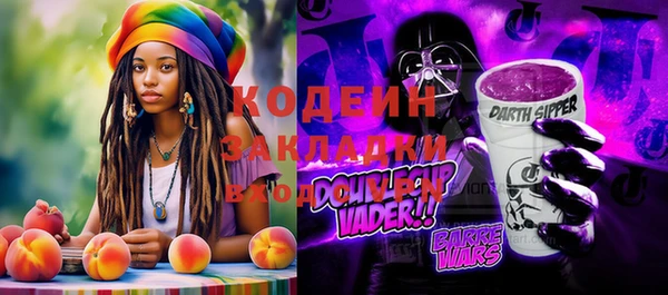 apvp Вяземский