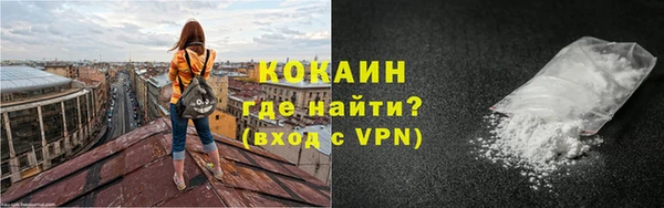 apvp Вяземский